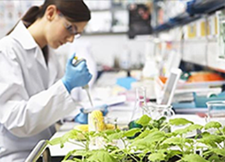 食安全流程监管